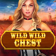 Best casinos of 2019 to play Wild Wild Chest Video slot machine