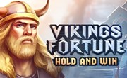 Free Demo Casino slot: Vikings Fortune: Hold and Win - 2019