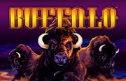 buffalo slot game online with no download play