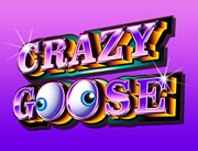 Crazy Goose Slot - Play Online at Best Ainsworth Casinos