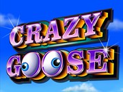 crazy goose free demo and no download slot game