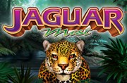 jaguar mist slot game online for free demo play