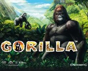 Novomatic Casino slot: Gorilla