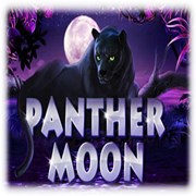 Panther Moon Slot game - Play Online at Best Novomatic Casinos