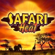 Play Safari Heat Video slot machine With Real Money Online