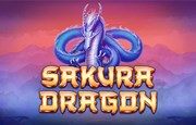 Play Sakura Dragon Slot game With Real Money Online