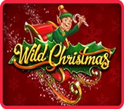 Wild Christmas Video slot machine - Play Online at Best Stakelogic Casinos
