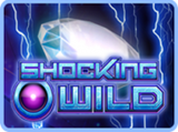 shocking wild slots online for free and demo play