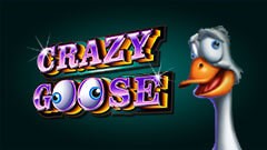 real money crazy goose slot with no download