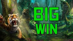 big wins with jungle spirit slot game by netent