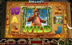 wild symbols in jungle jackpots slot game for free play