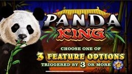 panda king slot game developer ainsworth